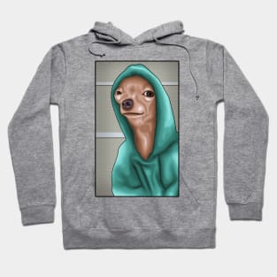 A Drawing For A Funny Dog ( Meme ) Hoodie